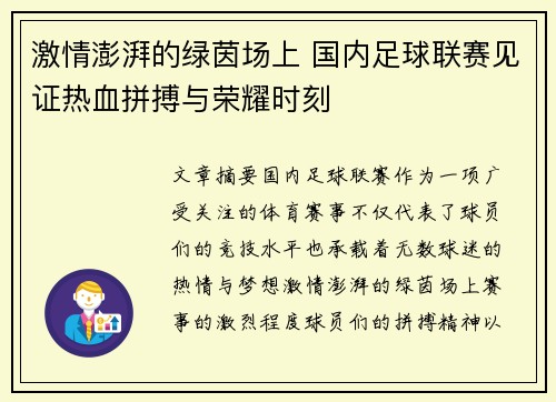 激情澎湃的绿茵场上 国内足球联赛见证热血拼搏与荣耀时刻